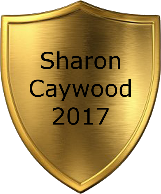 2017 Lifetime Achievement Award